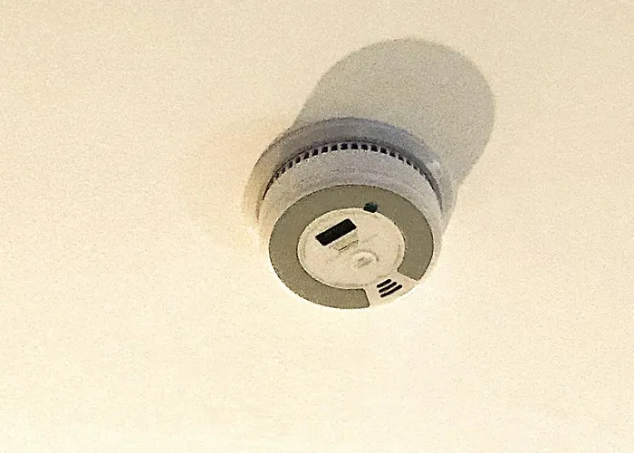 Cozy Design Vintage Flat